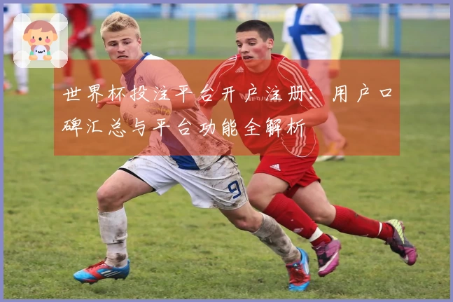 世界杯投注平台开户注册：用户口碑汇总与平台功能全解析