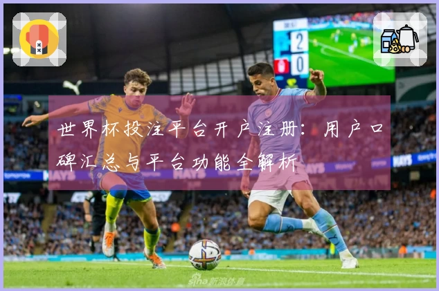 世界杯投注平台开户注册：用户口碑汇总与平台功能全解析