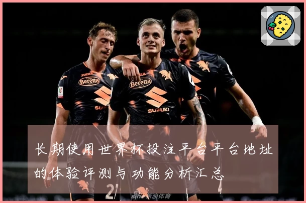 长期使用世界杯投注平台平台地址的体验评测与功能分析汇总