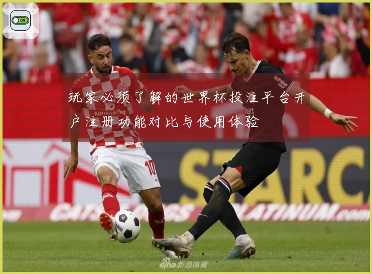 玩家必须了解的世界杯投注平台开户注册功能对比与使用体验