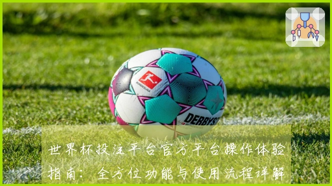 世界杯投注平台官方平台操作体验指南：全方位功能与使用流程详解